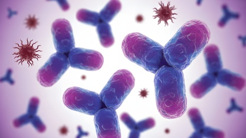 Biologics antibodies