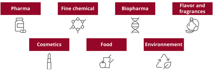 Sectors of intervention