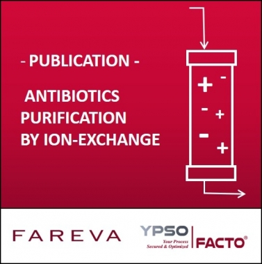 Antibiotics purification by ion-exchange