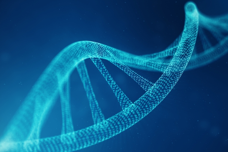 Application Note: Prediction of an oligonucleotide purification by IEX thanks to simulation and mechanistic modeling