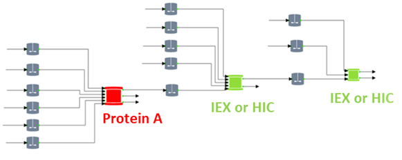 biologics full process