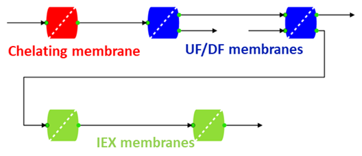 biologics full process