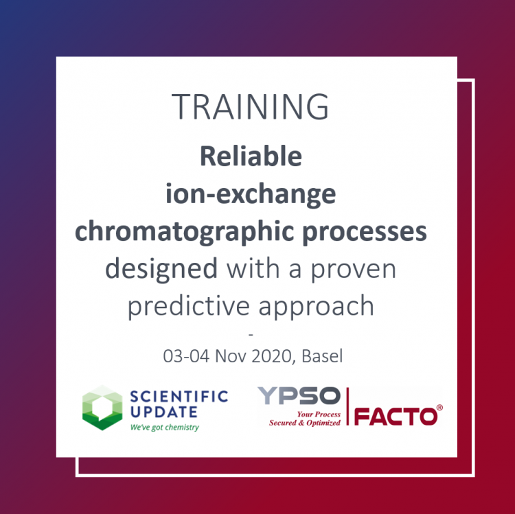 TRAINING - Reliable ION-EXCHANGE Chromatographic Processes designed with a Proven Predictive Approach