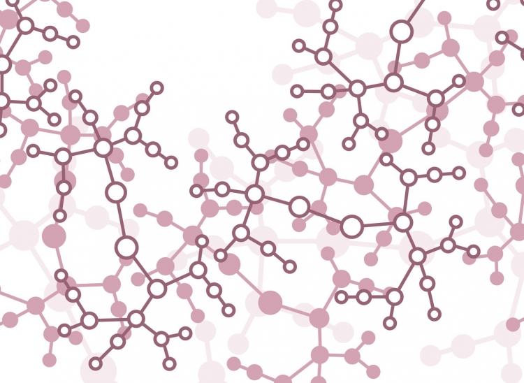 Modeling: Mechanistic or Statistical ? Part 2 : Making a choice 