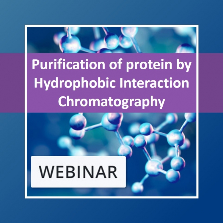 WEBINAR - Purification of protein by Hydrophobic Interaction Chromatography (HIC): mechanistic modeling for improved understanding and process optimization