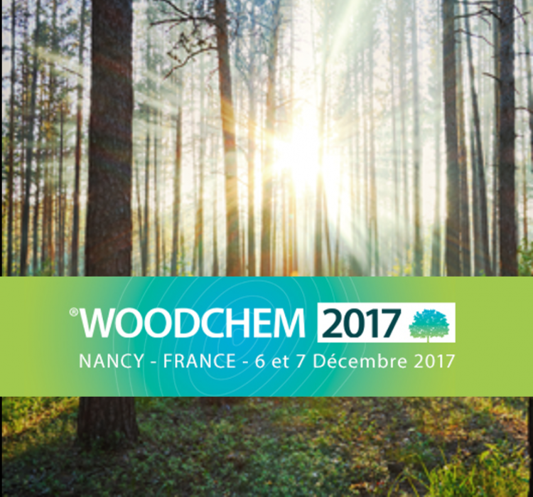 WoodChem 2017