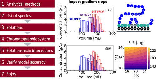 Oligonucleotide Purification by Ion Exchange Chromatography : Step-by-Step Guide to Process Understanding, Modeling, and Simulation